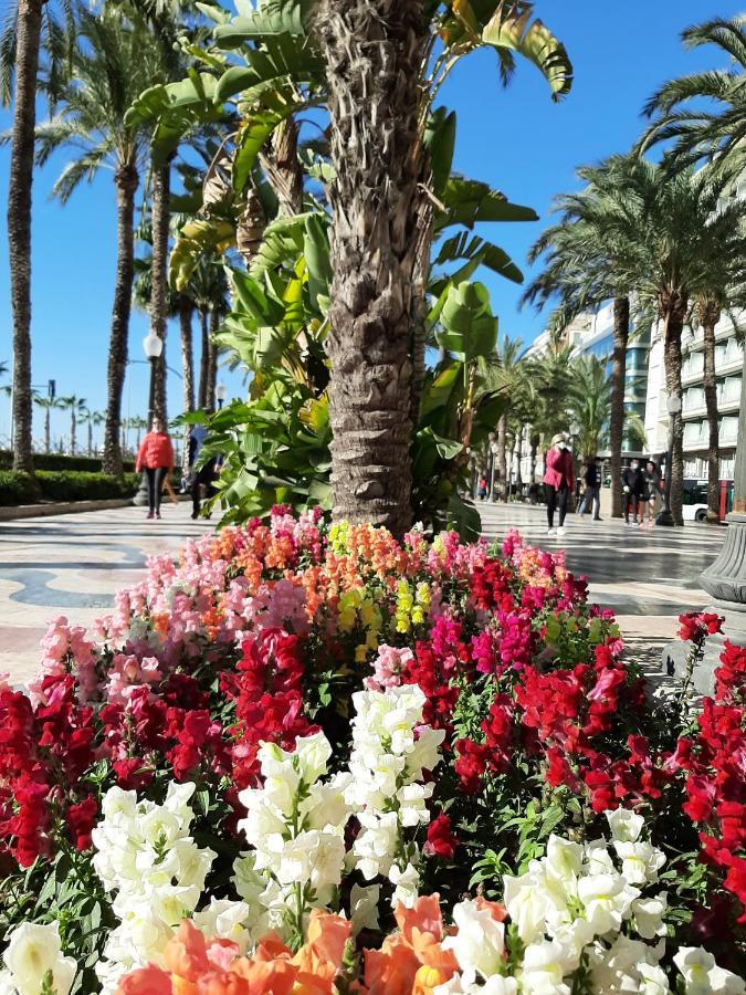 Casa Llorca Big Apt 3 Bedroom Garage Ac Wifi Alicante Zewnętrze zdjęcie